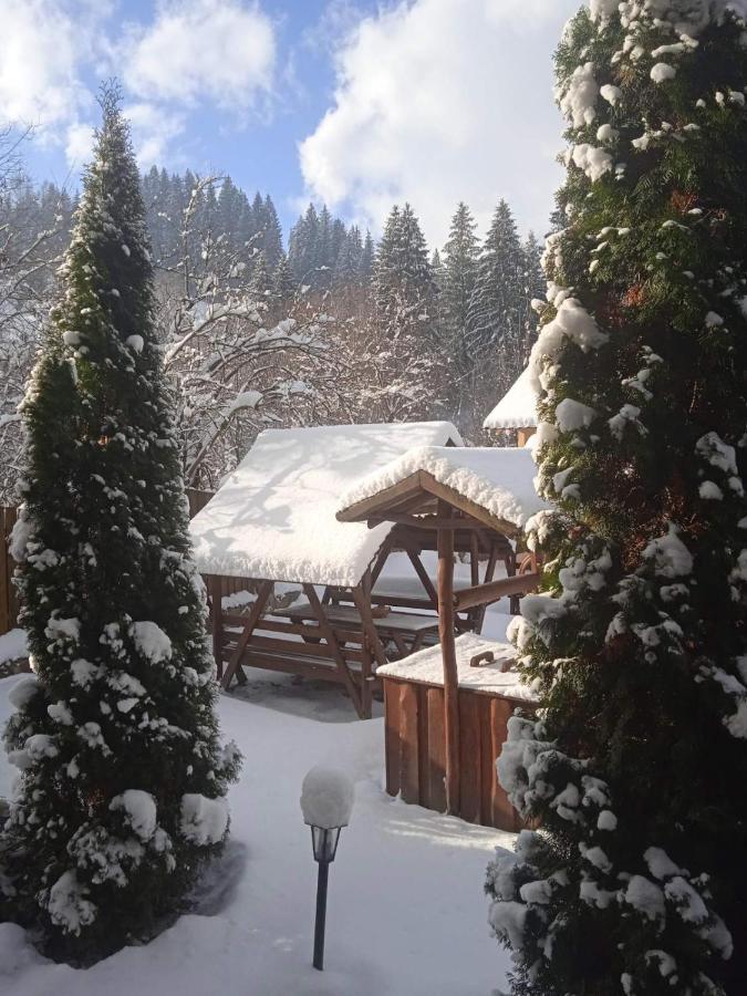 На Березі Черемошу Verkhovyna Exterior photo