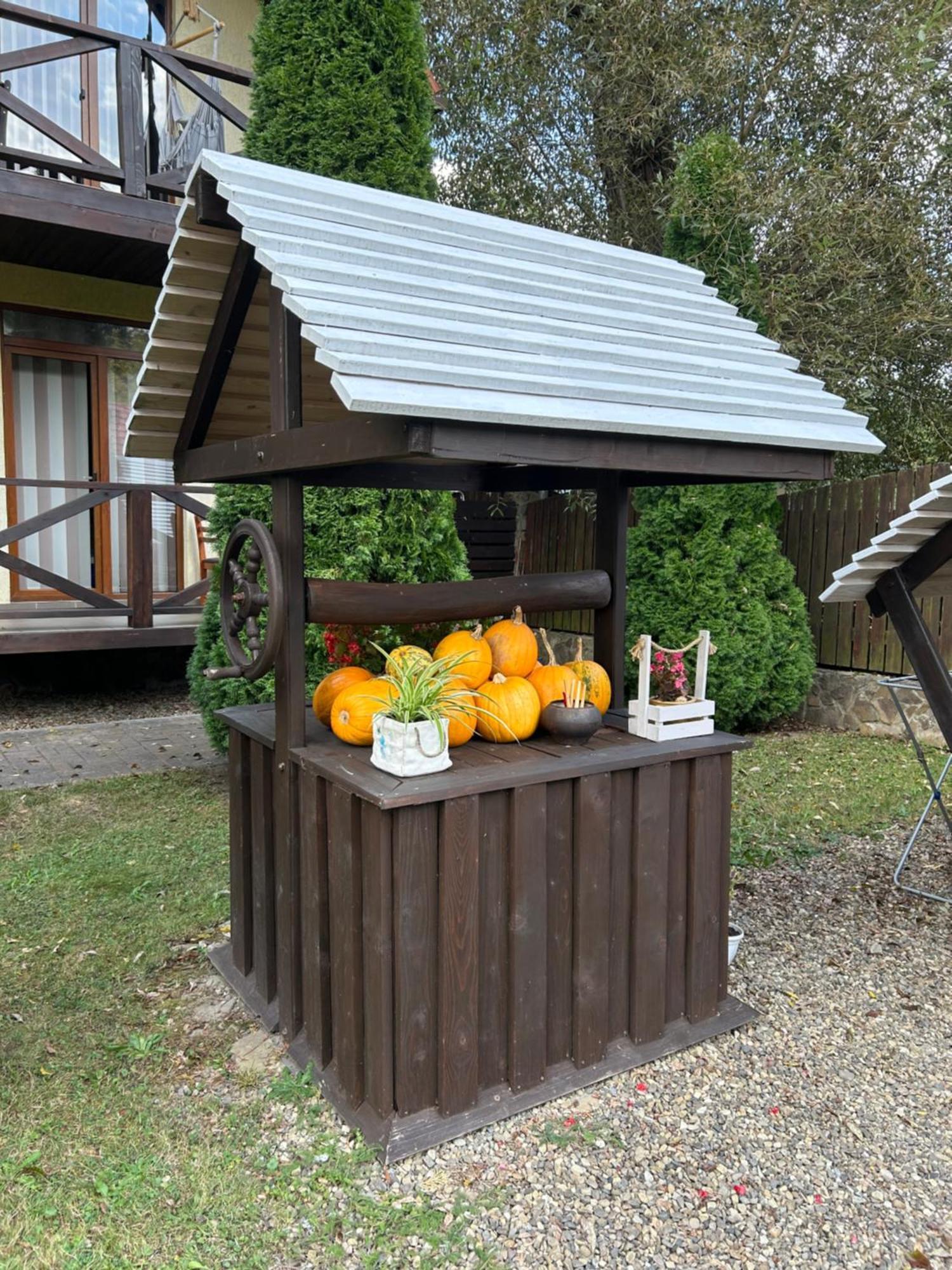 На Березі Черемошу Verkhovyna Exterior photo